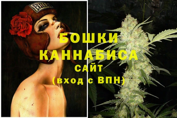 сатива Алексин