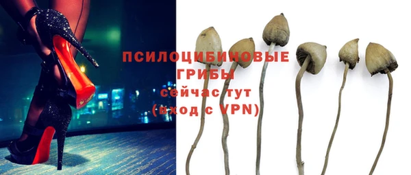 сатива Алексин