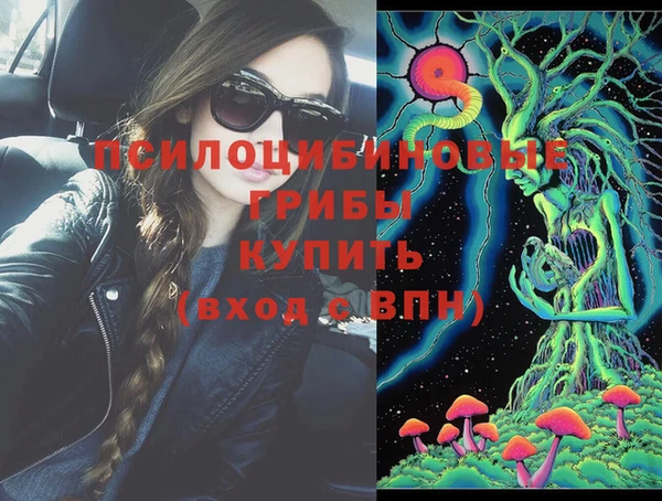 сатива Алексин