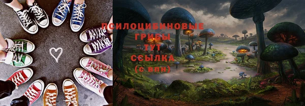 дживик Алзамай