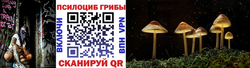 Псилоцибиновые грибы GOLDEN TEACHER  Апрелевка 
